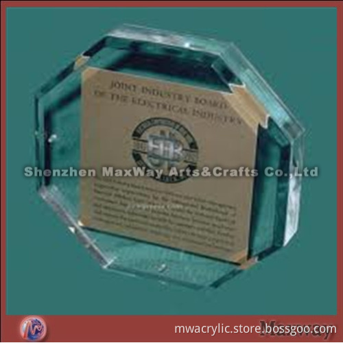Clear octagonal acrylic paperweight/gift/award with logo
